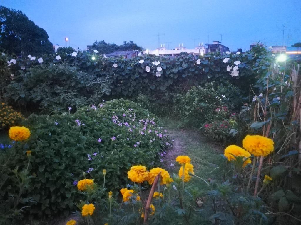 Baan Bussaba Hotel Trang Bagian luar foto